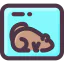 Groundhog biểu tượng 64x64