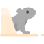 Groundhog biểu tượng 64x64