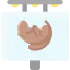 Groundhog biểu tượng 64x64