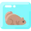 Groundhog biểu tượng 64x64