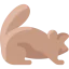 Groundhog biểu tượng 64x64