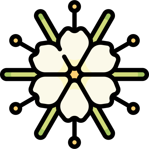 Spider icon