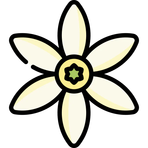 Jasmine icon