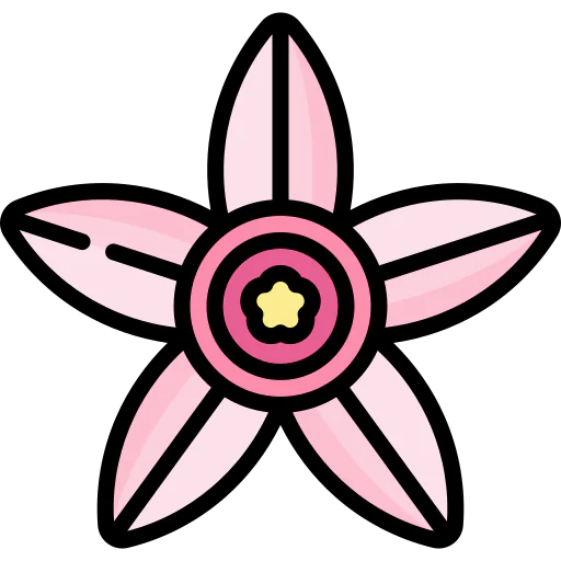 Tapioca flower icon