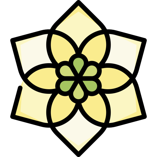 Amazon icon