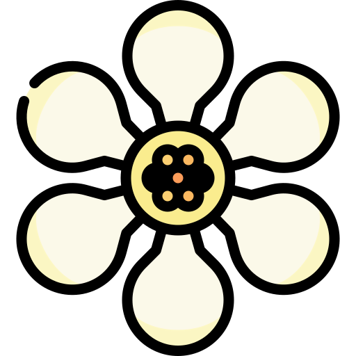 Ficus icon