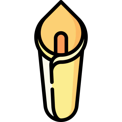 Calla icon