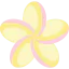 Plumeria icon 64x64