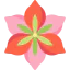 Amaryllis icon 64x64