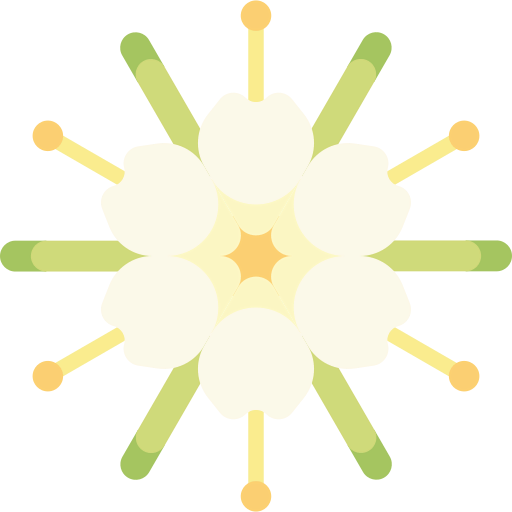 Spider icon