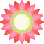 Protea 图标 64x64