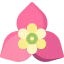 Bougainvillea icon 64x64