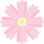 Pink cosmos icon 64x64