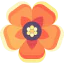 Hibiscus icon 64x64