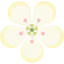 Hibiscus icon 64x64