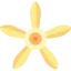 Vanilla biểu tượng 64x64