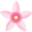 Tapioca flower icon 64x64