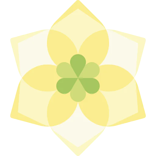Amazon icon