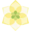Amazon icon 64x64