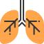 Lungs icon 64x64