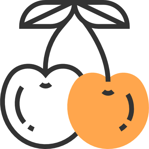 Cherries icon