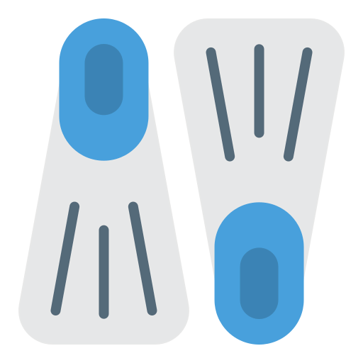 Flippers icon