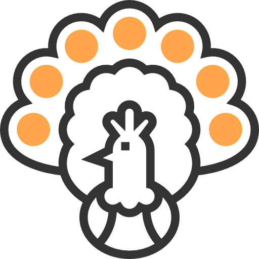 Turkey icon