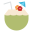Coconut drink icon 64x64