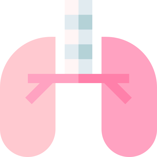 Lungs icon