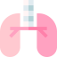 Lungs icon 64x64