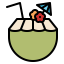 Coconut drink icon 64x64