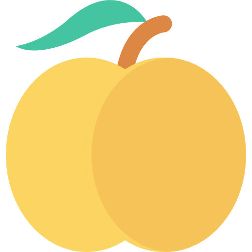 Orange icon