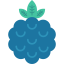 Blueberry icon 64x64
