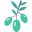 Olives icon 64x64