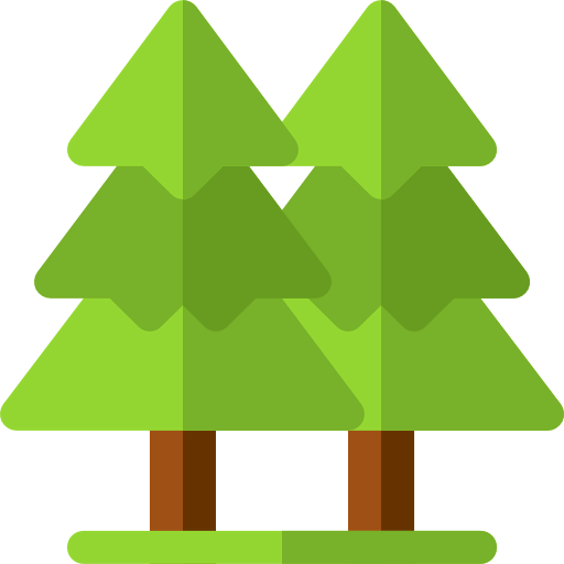 Forest 상