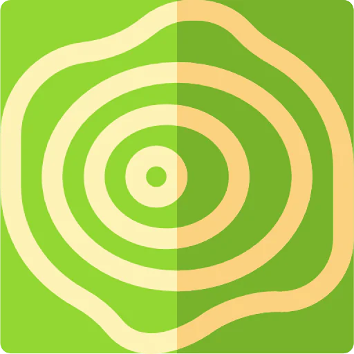 Maps icon