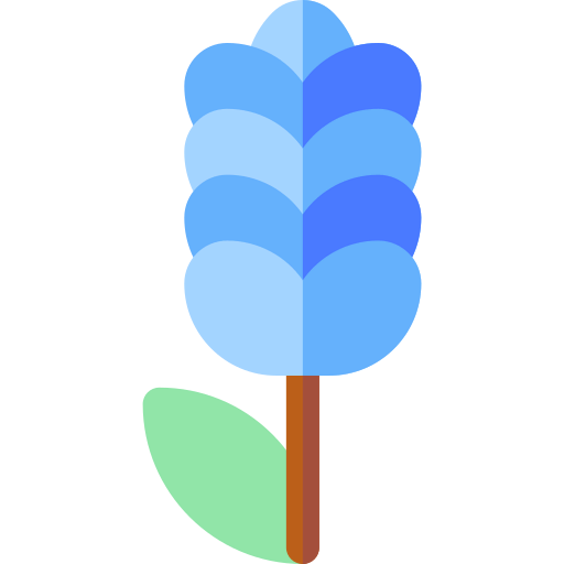 Lavender icon