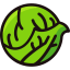 Lettuce icon 64x64