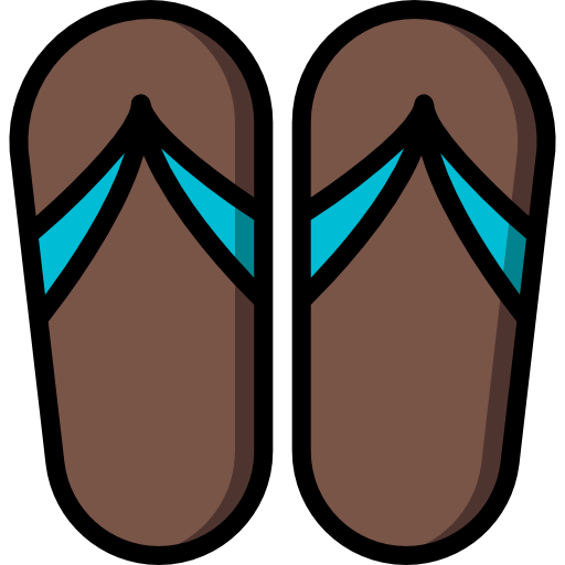 Flip flops icon