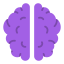 Brain icon 64x64