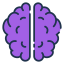 Brain icon 64x64