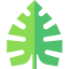 Leaf icon 64x64