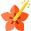Hibiscus icon 64x64