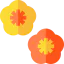 Flower icon 64x64