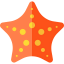 Starfish icon 64x64