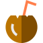 Coconut icon 64x64