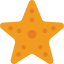 Starfish icon 64x64