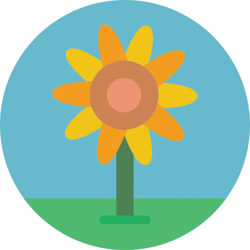Sunflower icon