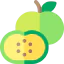 Sapote icon 64x64