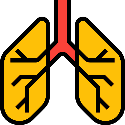 Lungs icon